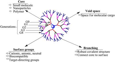 Frontiers | Impact of Dendrimers on Solubility of Hydrophobic Drug